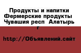 Продукты и напитки Фермерские продукты. Чувашия респ.,Алатырь г.